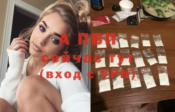 дживик Абинск