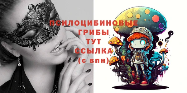 мдпв Абаза