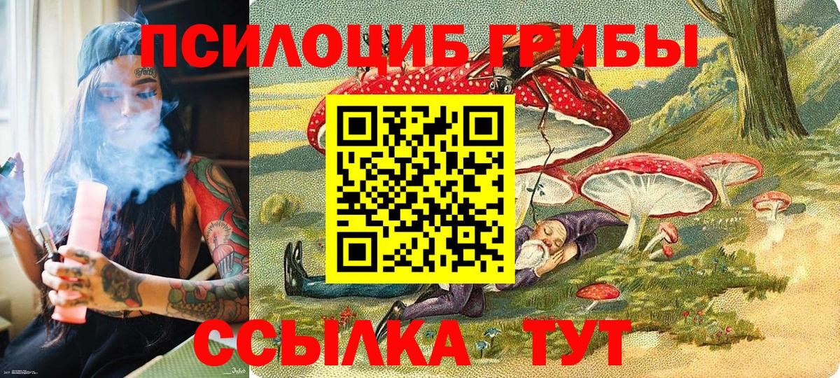 Псилоцибиновые грибы ЛСД  Вход с VPN  Псилоцибиновые грибы MAGIC MUSHROOMS  Заволжье 