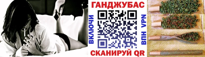 Конопля сатива Заволжье